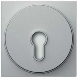 Portier Schlüsseltastermodul (silber)