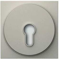 Portier Schlüsseltastermodul (titan)