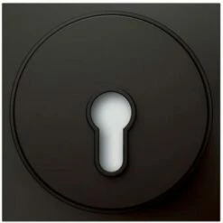 Portier Schlüsseltastermodul (graubraun)